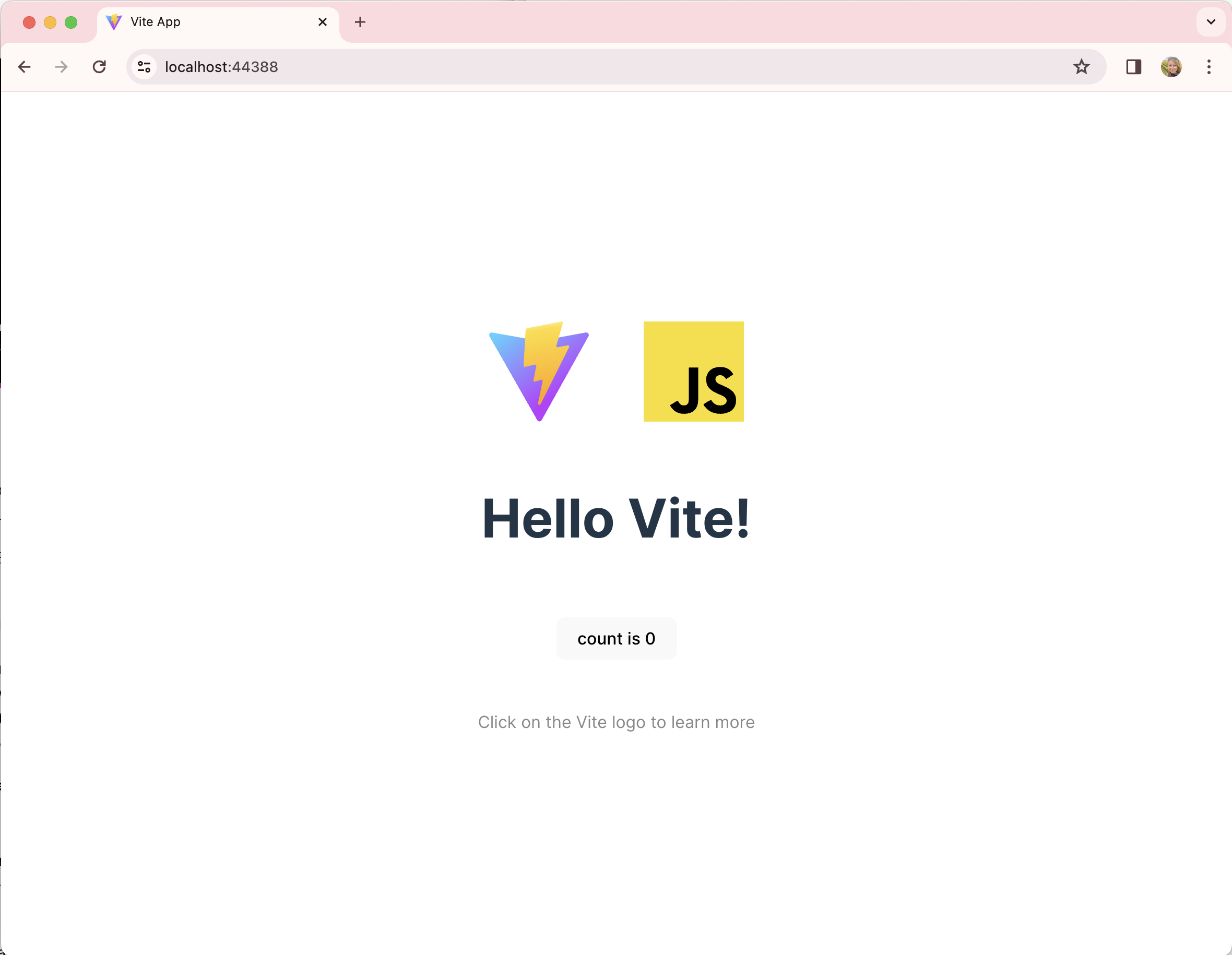 The Vite landing page showing us we wired everything up correctly!